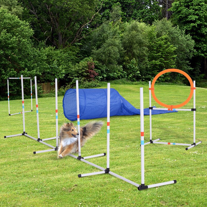 Pawhut 5 Piece Outdoor Game Dog Agility Training Equipment Set Agility
